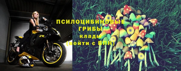PSILOCYBIN Верхнеуральск
